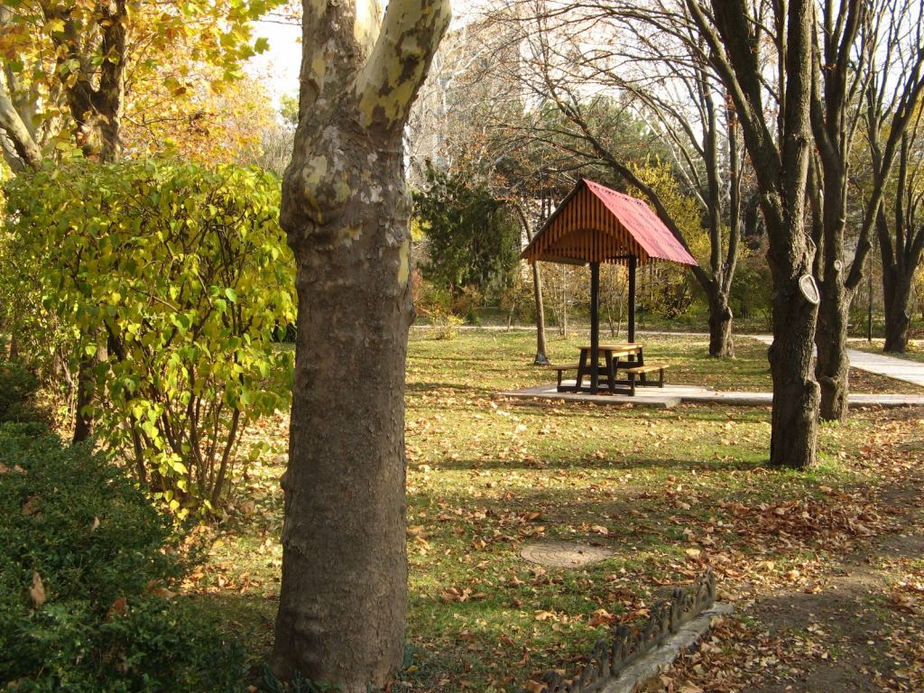 В парке санатория немало вот таких крытых беседок - Парки в санаториях Одессы