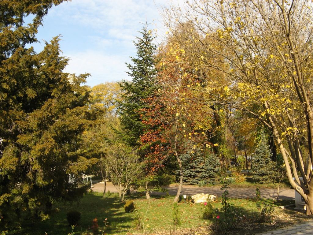 Парк санатория "Одессы" мы признали как самый красивый, большой и ухоженный - Парки в санаториях Одессы