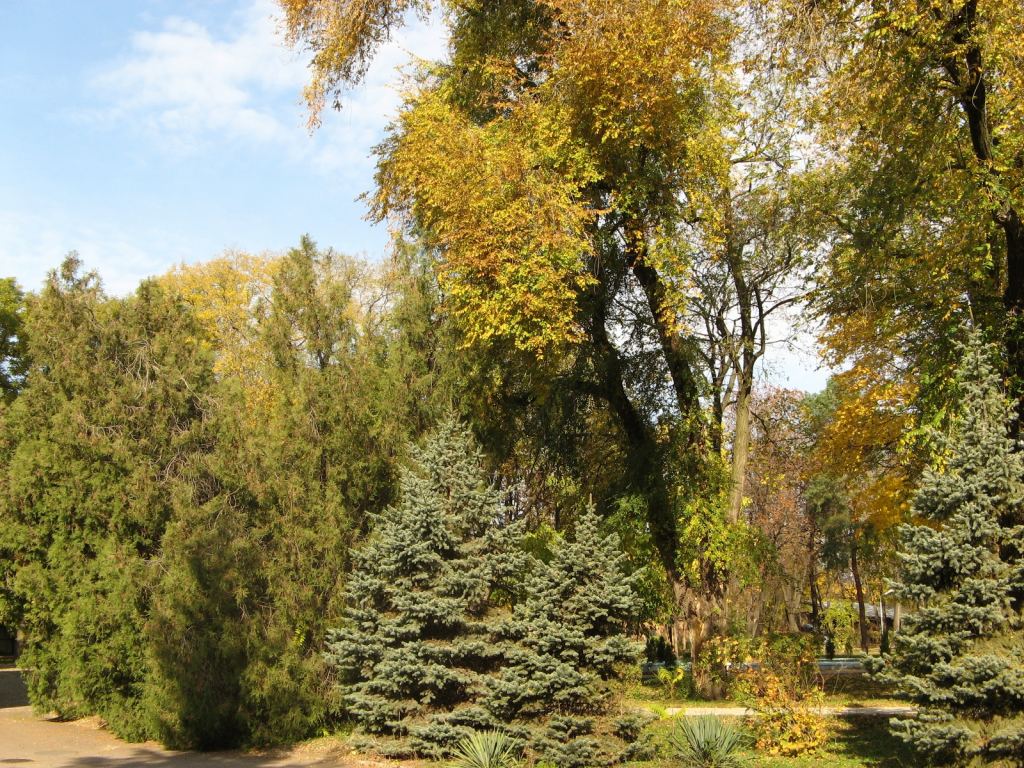 Фото 46 - Парки в санаториях Одессы