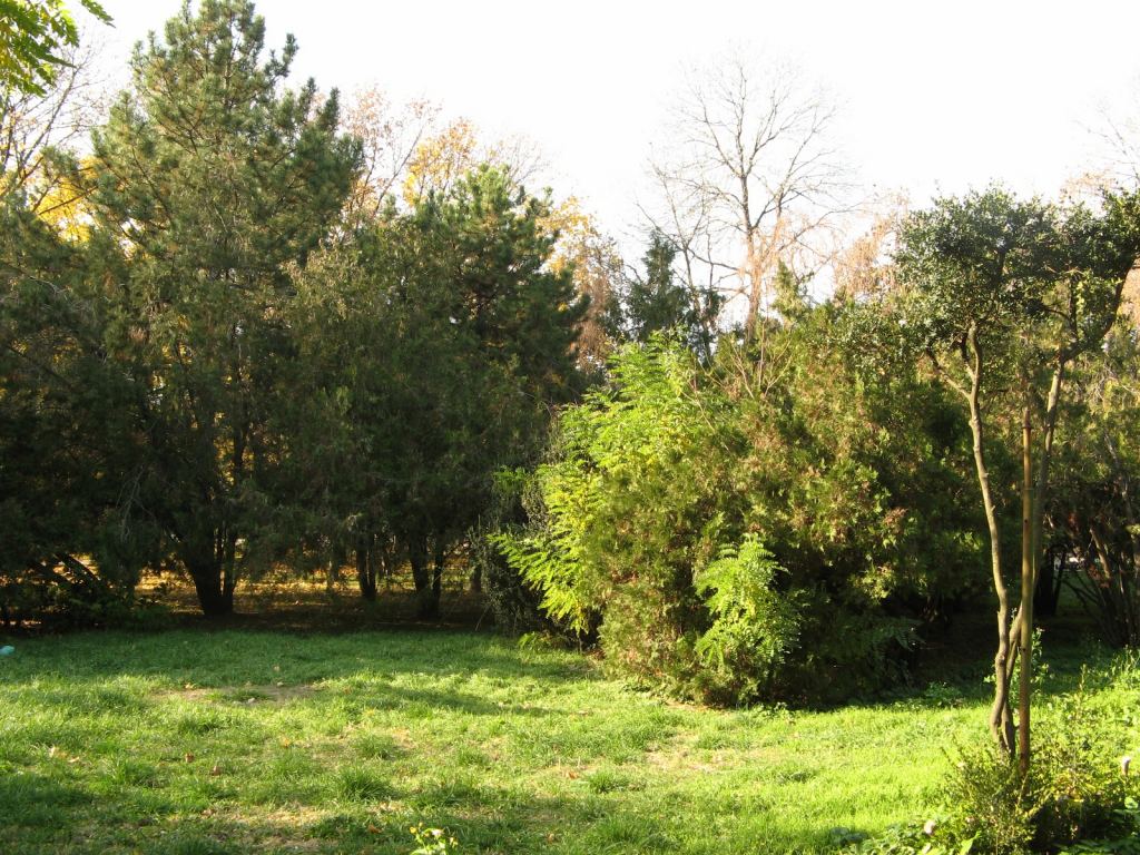 Фото 51 - Парки в санаториях Одессы