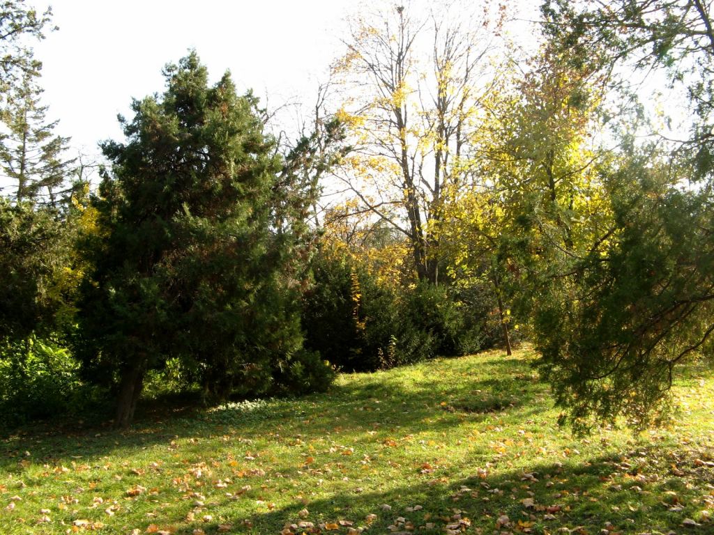 Фото 53 - Парки в санаториях Одессы