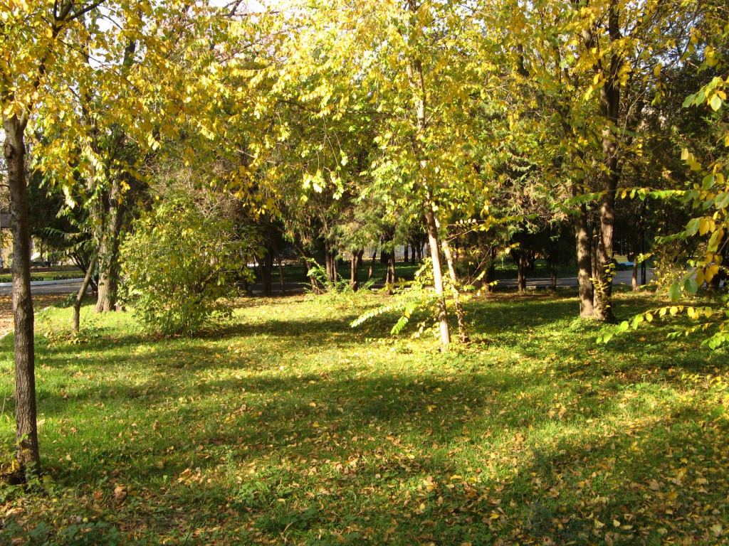 Фото 56 - Парки в санаториях Одессы