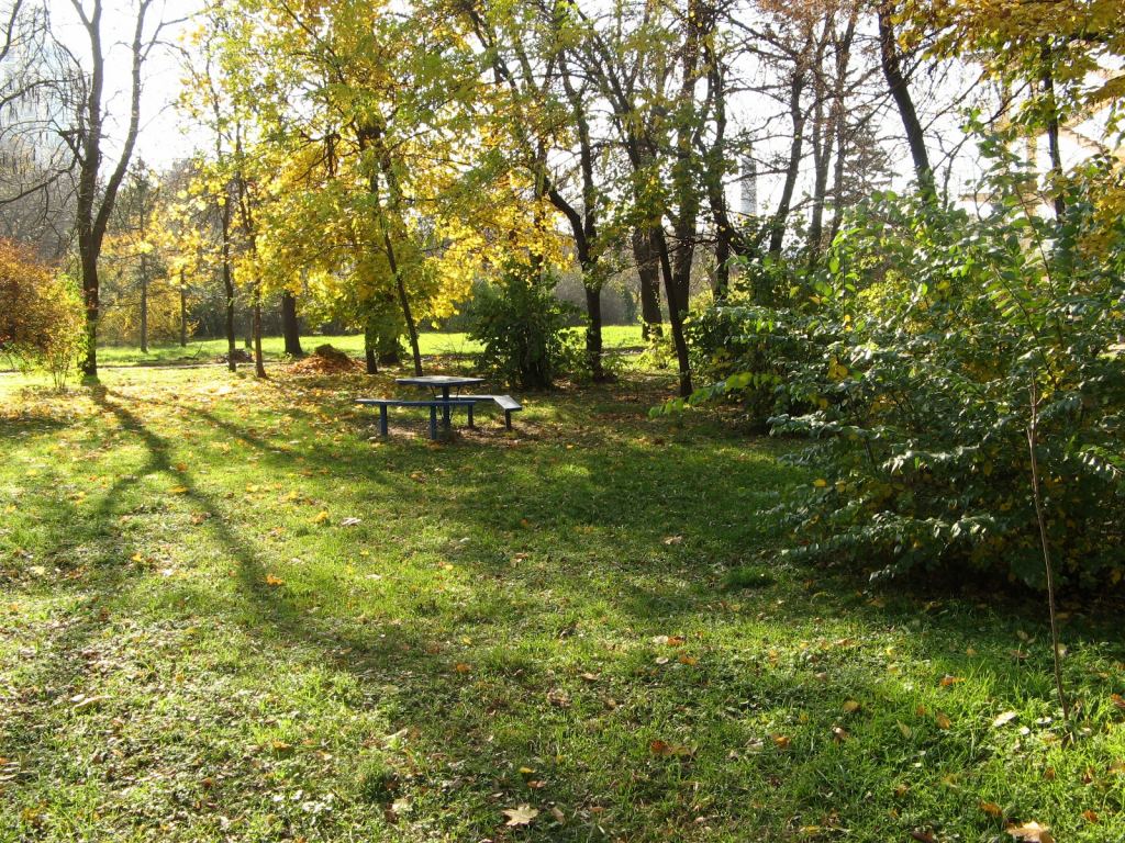 Парк реально большой, здесь гулять и гулять - Парки в санаториях Одессы