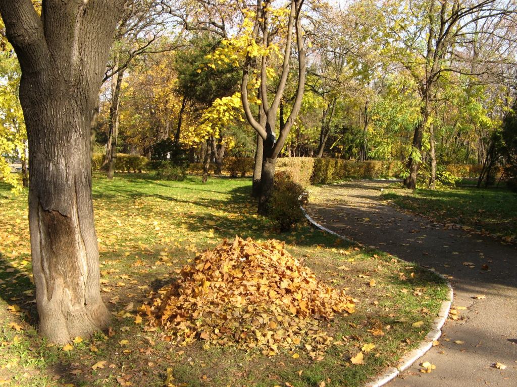 Фото 58 - Парки в санаториях Одессы