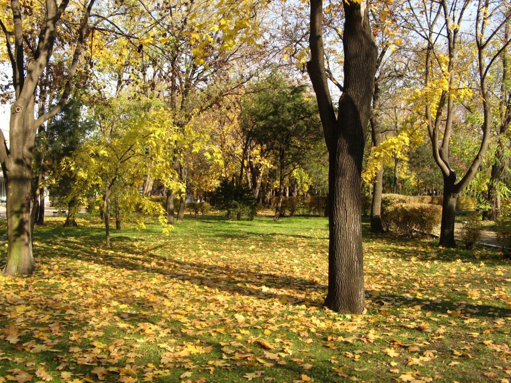 Фото 59 - Парки в санаториях Одессы