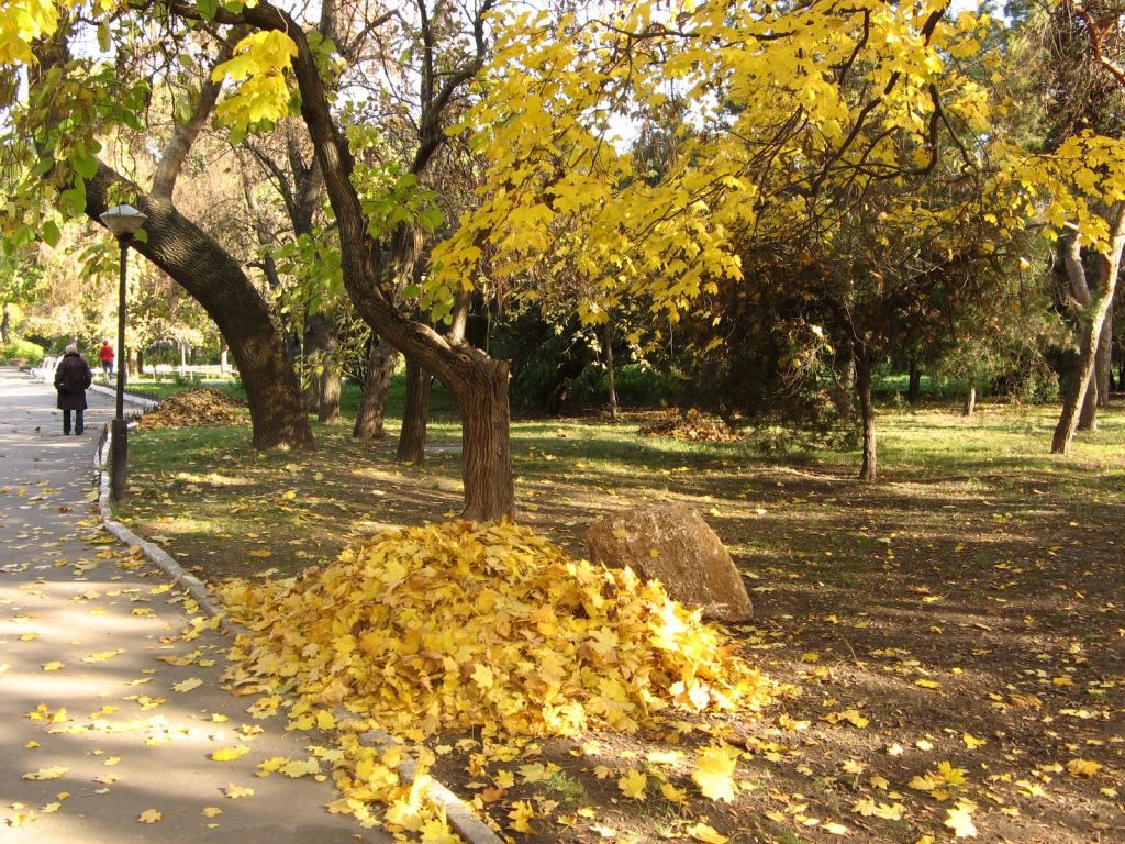 Фото 60 - Парки в санаториях Одессы