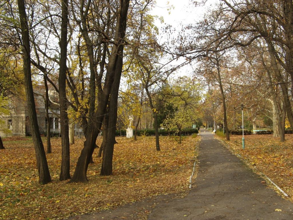 Территория санатория "Аркадия" (тоже на Французском бульваре) - Парки в санаториях Одессы