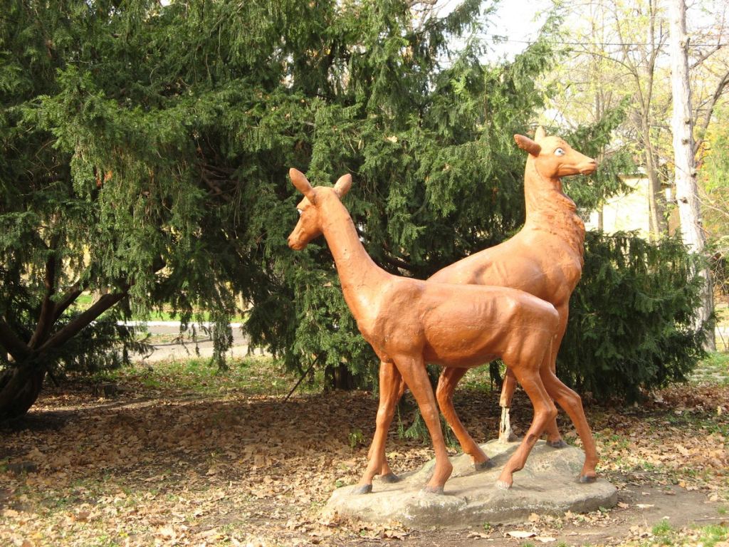 Олени тоже приютились в этом сказочном, но, к сожалению, заброшенном парке - Парки в санаториях Одессы