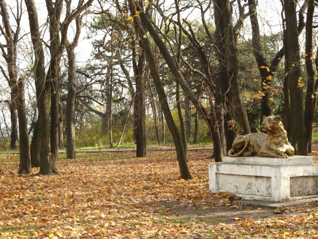 Как ни странно, но парк в довольно знаменитом санатории Чкалова оказался весьма заброшенным - Парки в санаториях Одессы