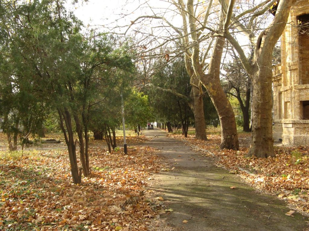 Фото 76 - Парки в санаториях Одессы