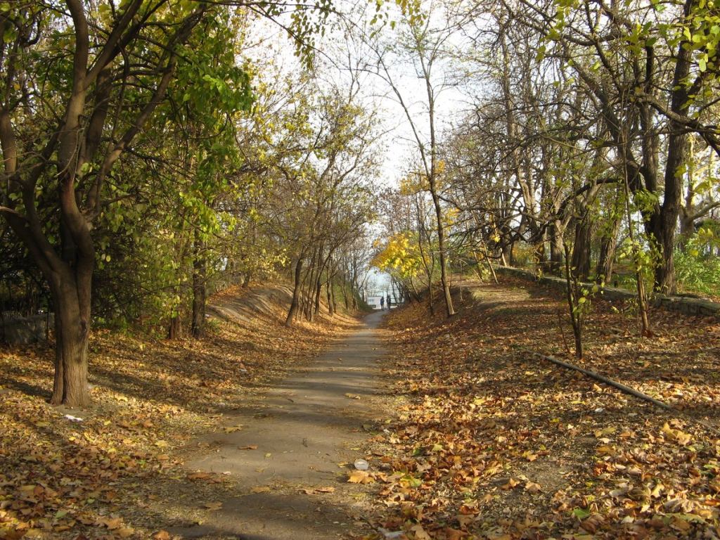 Фото 79 - Парки в санаториях Одессы