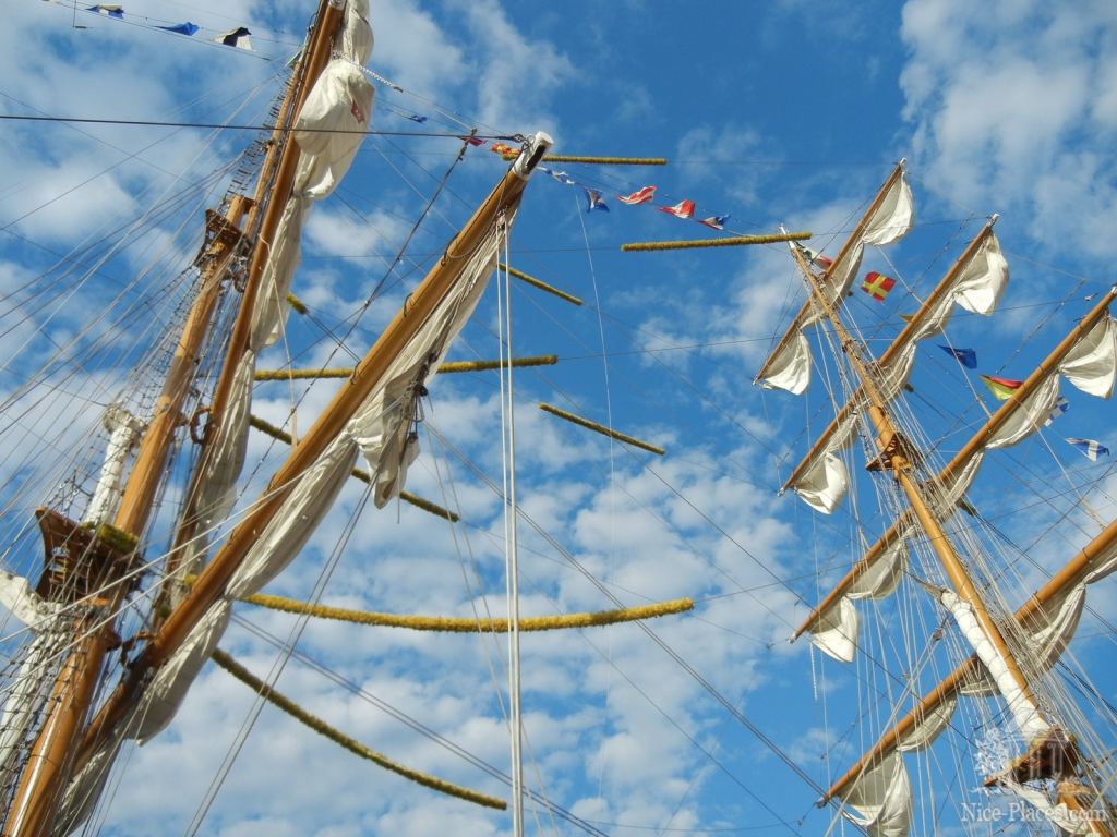 Фото 6 - Впервые в Одессе Мексиканский парусник "Cuauhtemoc"