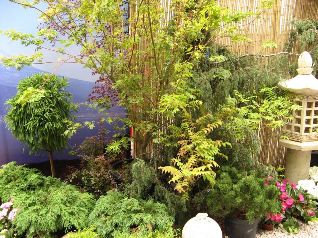 Японский садик - Празднование 216-летия Одессы