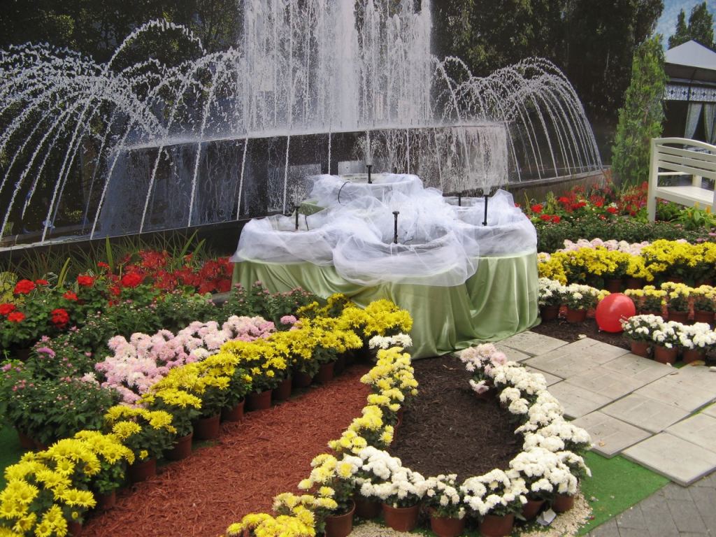 Фонтанчик на фоне фонтана в Горсаду - Празднование 216-летия Одессы