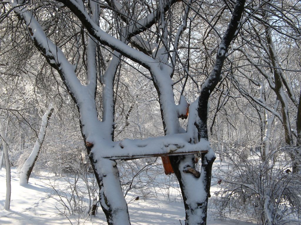 Фото 9 - Зимний парк им. Горького