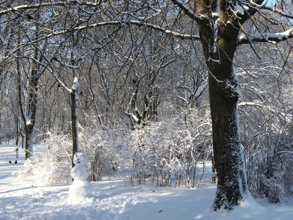Фото 12 - Зимний парк им. Горького