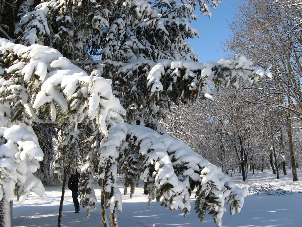 Фото 15 - Зимний парк им. Горького