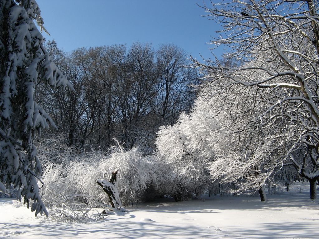 Фото 18 - Зимний парк им. Горького
