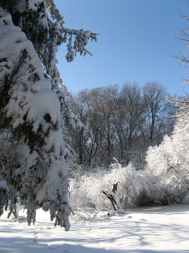 Фото 19 - Зимний парк им. Горького