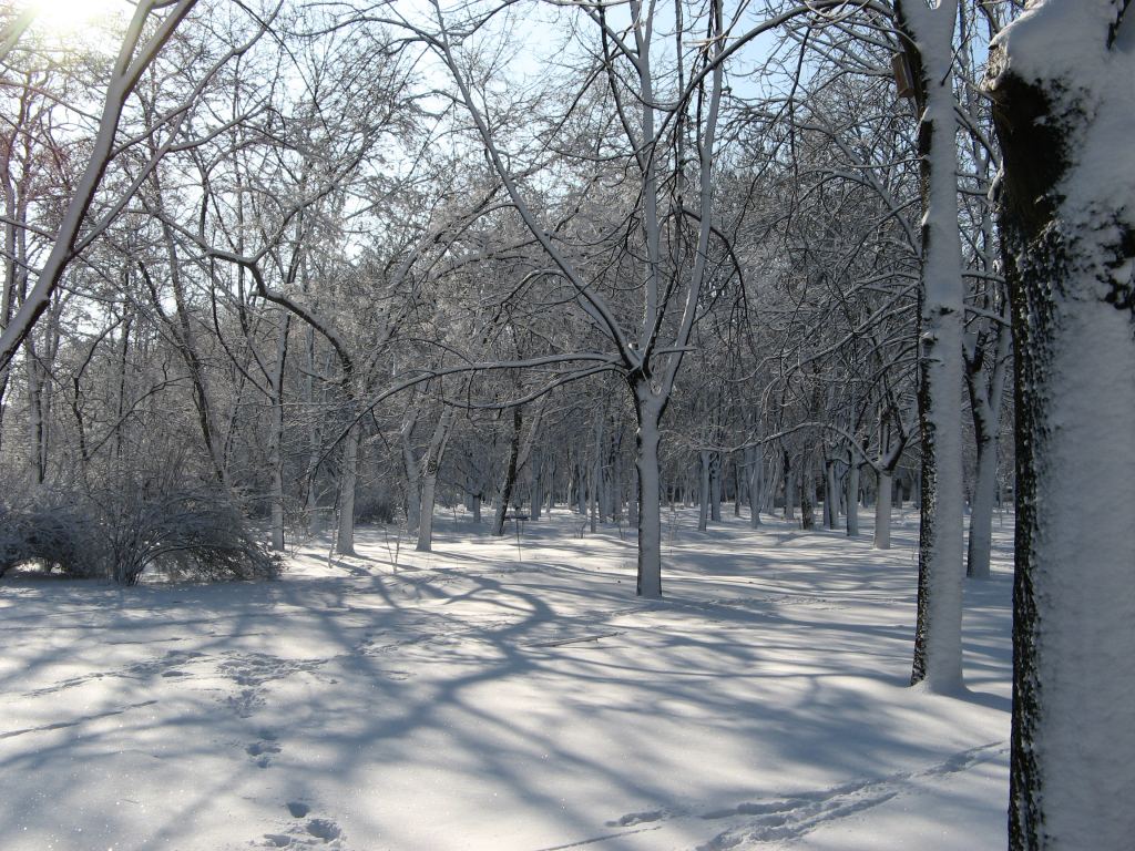 Фото 20 - Зимний парк им. Горького