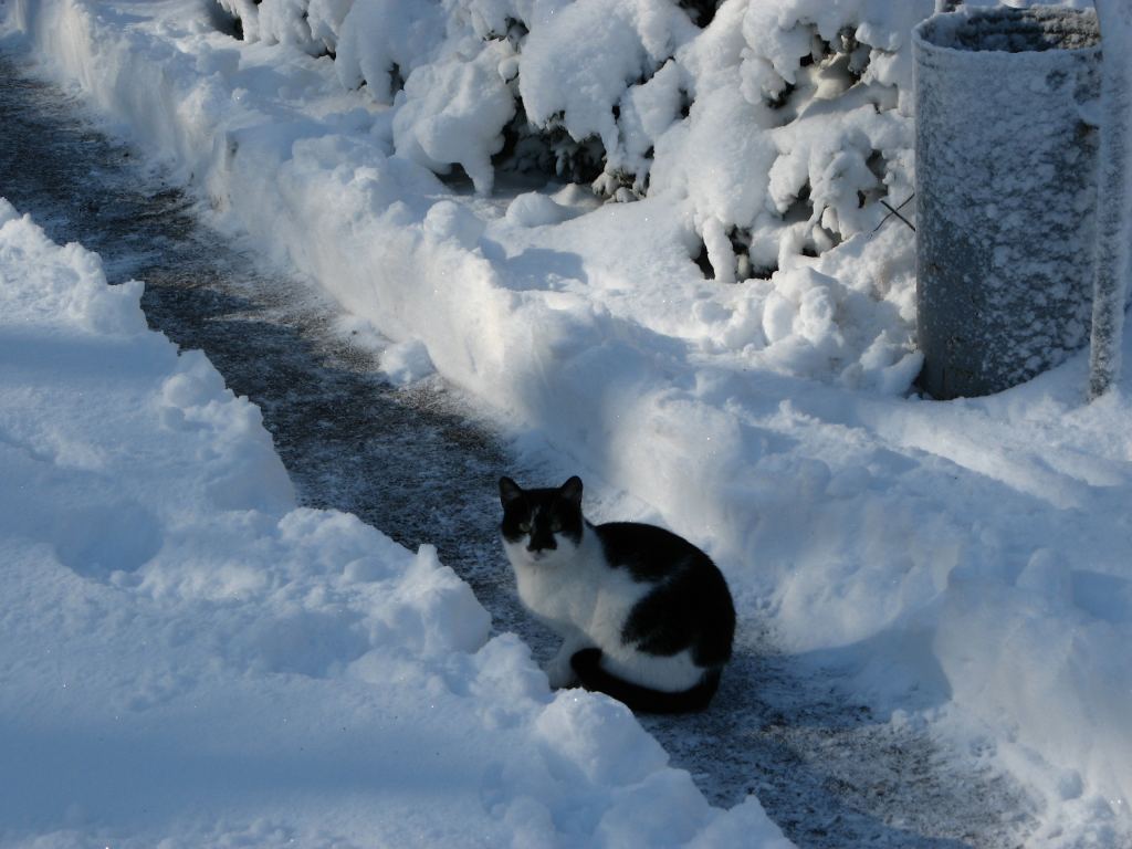 Фото 23 - Зимний парк им. Горького