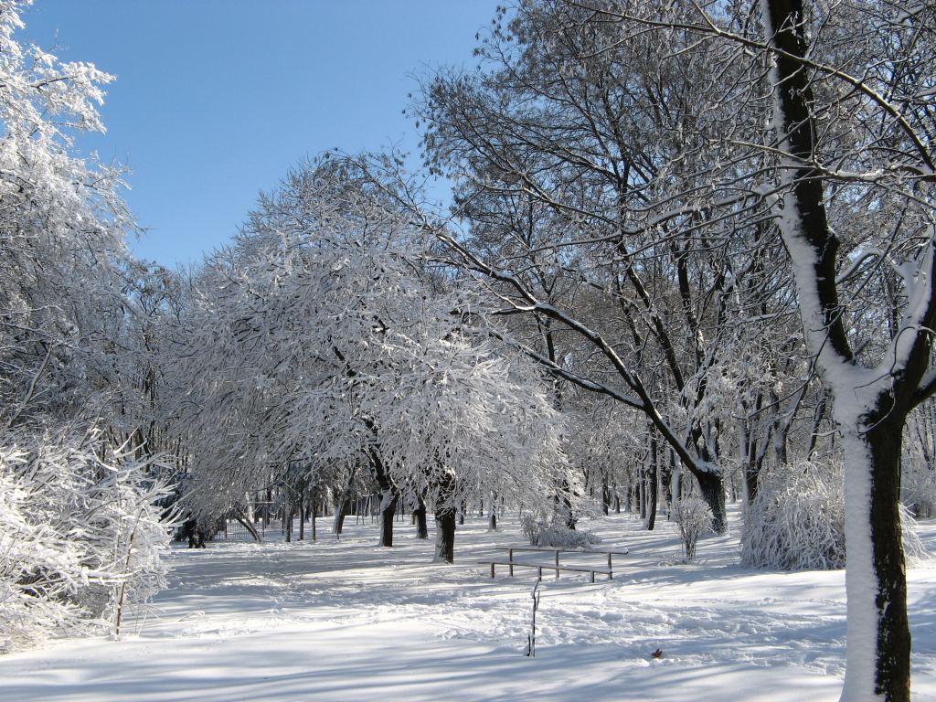 Фото 26 - Зимний парк им. Горького