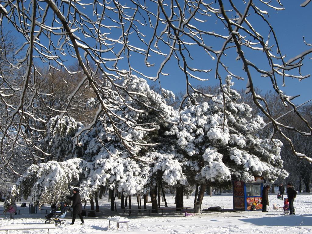 Фото 28 - Зимний парк им. Горького