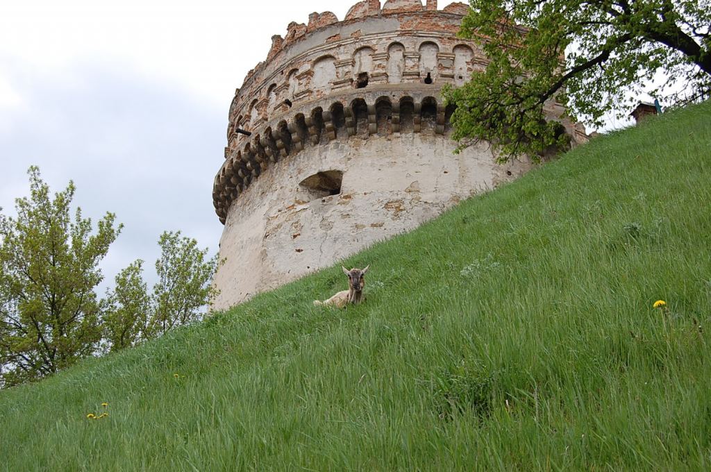 Фото 6 - Острог. Крепость (автор Владимир Беспалов)
