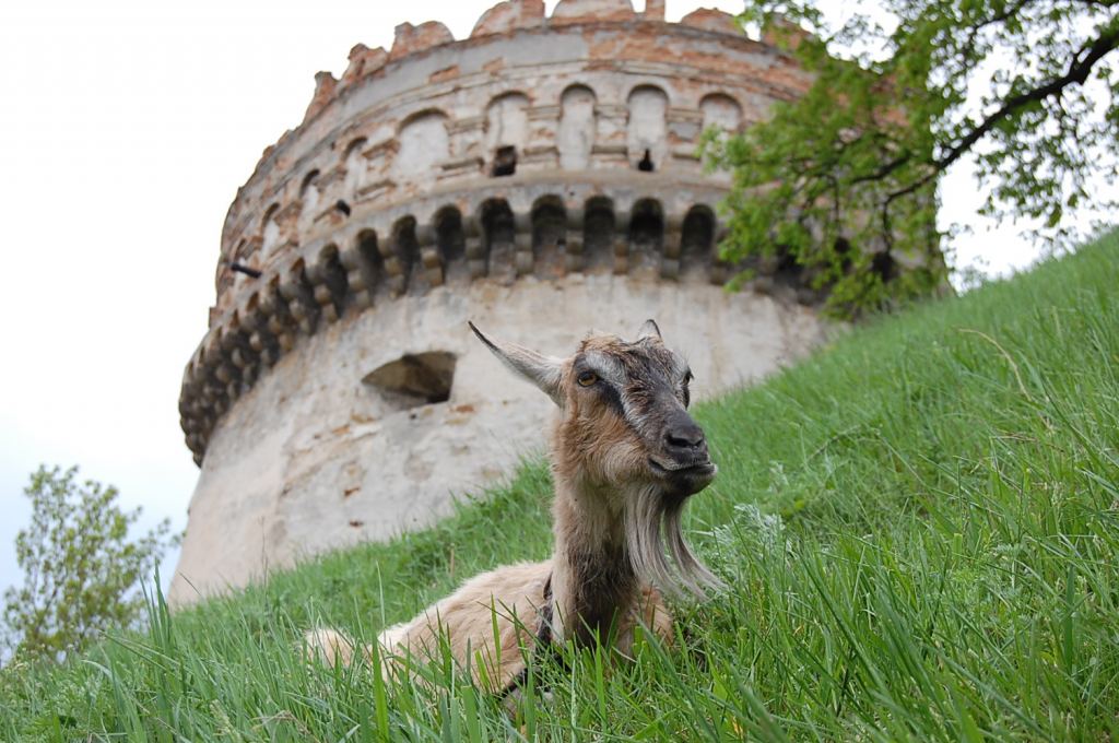 Фото 7 - Острог. Крепость (автор Владимир Беспалов)