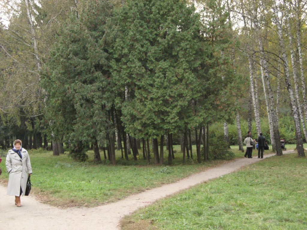 Фото 16 - Осенний парк "Александрия" (Белая Церковь)