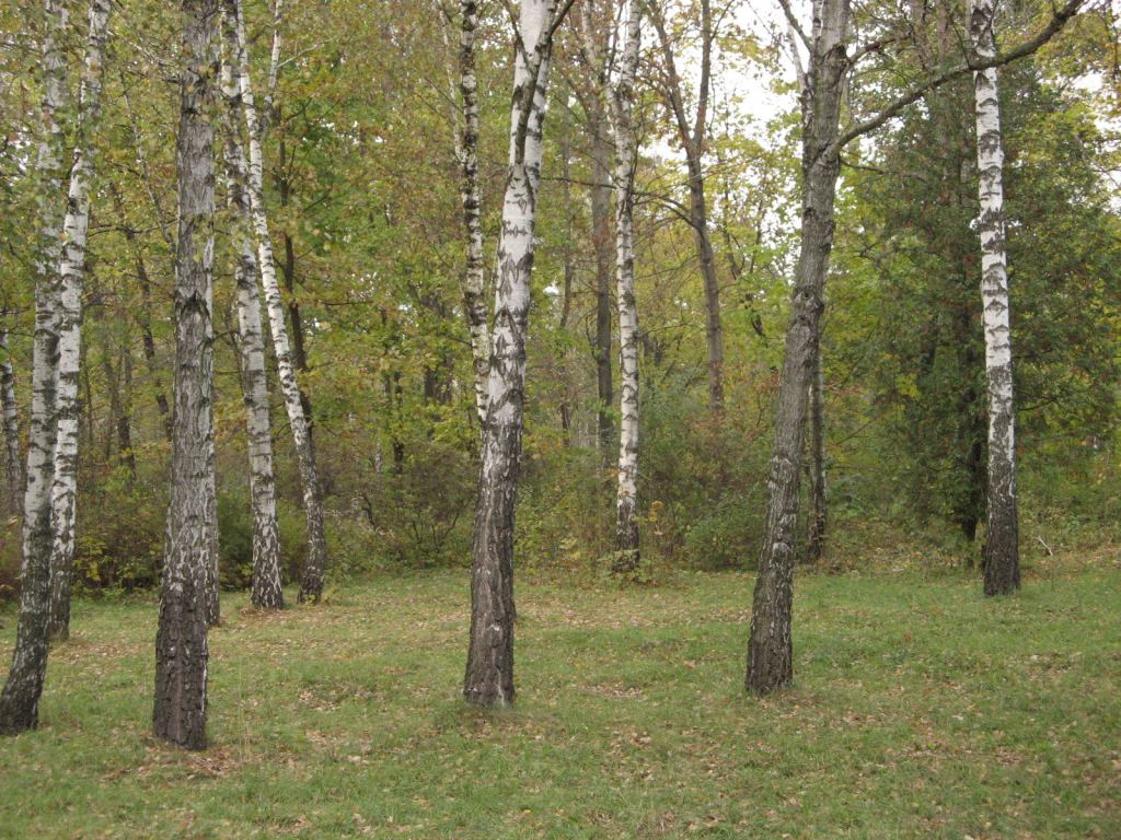 Фото 18 - Осенний парк "Александрия" (Белая Церковь)