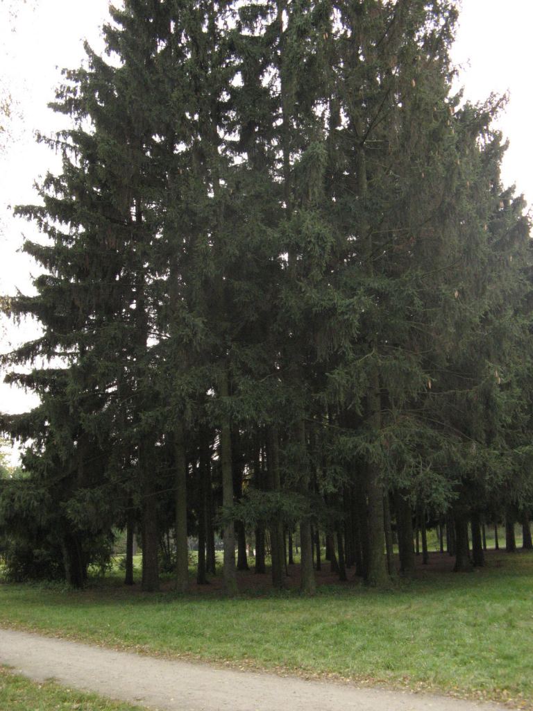 Фото 21 - Осенний парк "Александрия" (Белая Церковь)