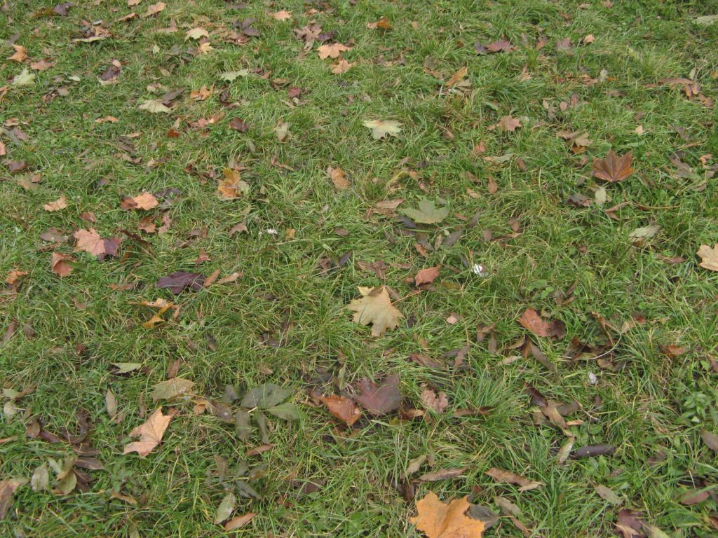 Фото 26 - Осенний парк "Александрия" (Белая Церковь)