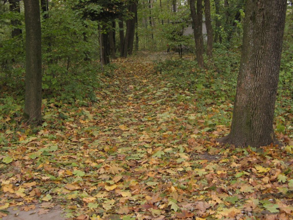 Фото 32 - Осенний парк "Александрия" (Белая Церковь)