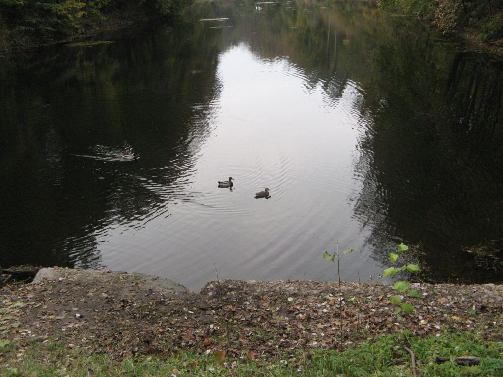 Фото 41 - Осенний парк "Александрия" (Белая Церковь)