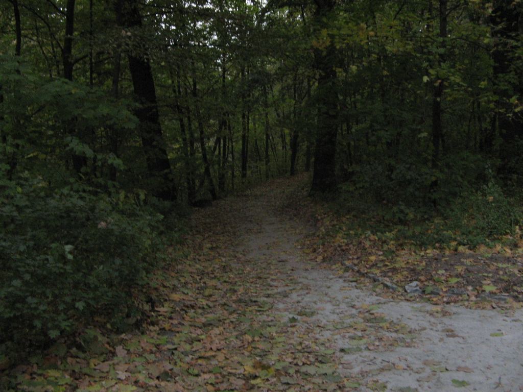 Фото 49 - Осенний парк "Александрия" (Белая Церковь)