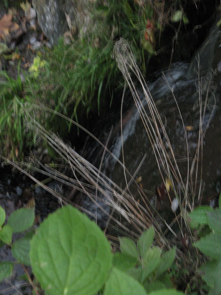 Фото 57 - Осенний парк "Александрия" (Белая Церковь)