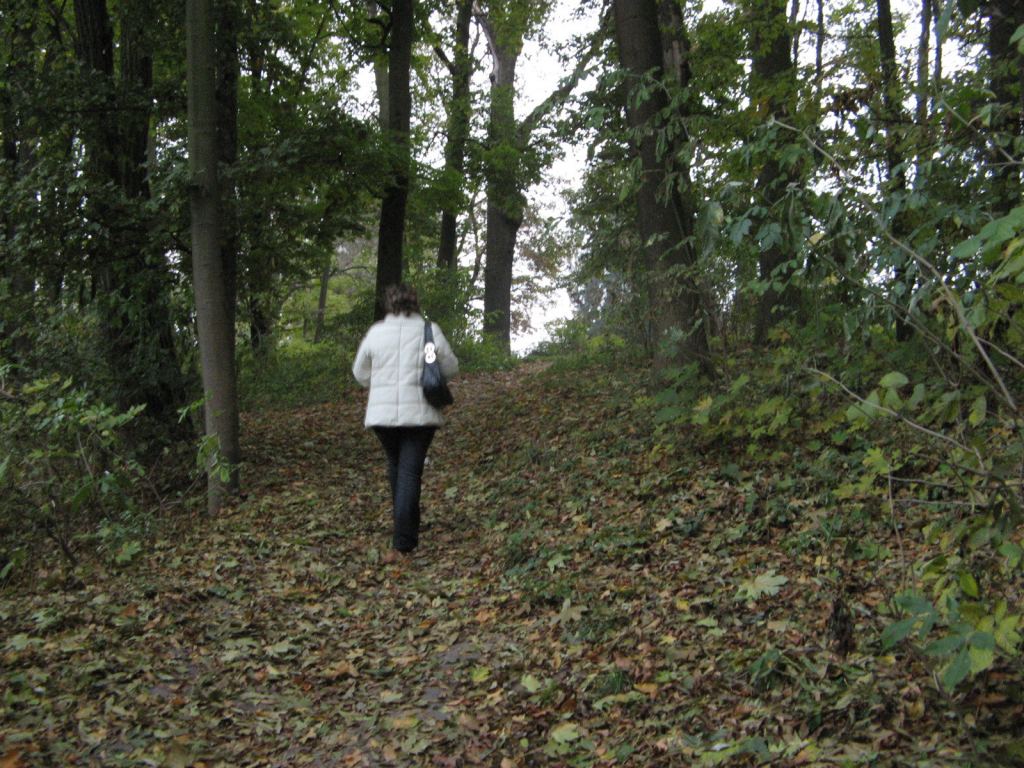 Фото 64 - Осенний парк "Александрия" (Белая Церковь)