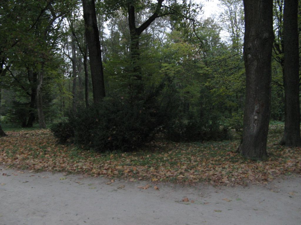 Фото 69 - Осенний парк "Александрия" (Белая Церковь)