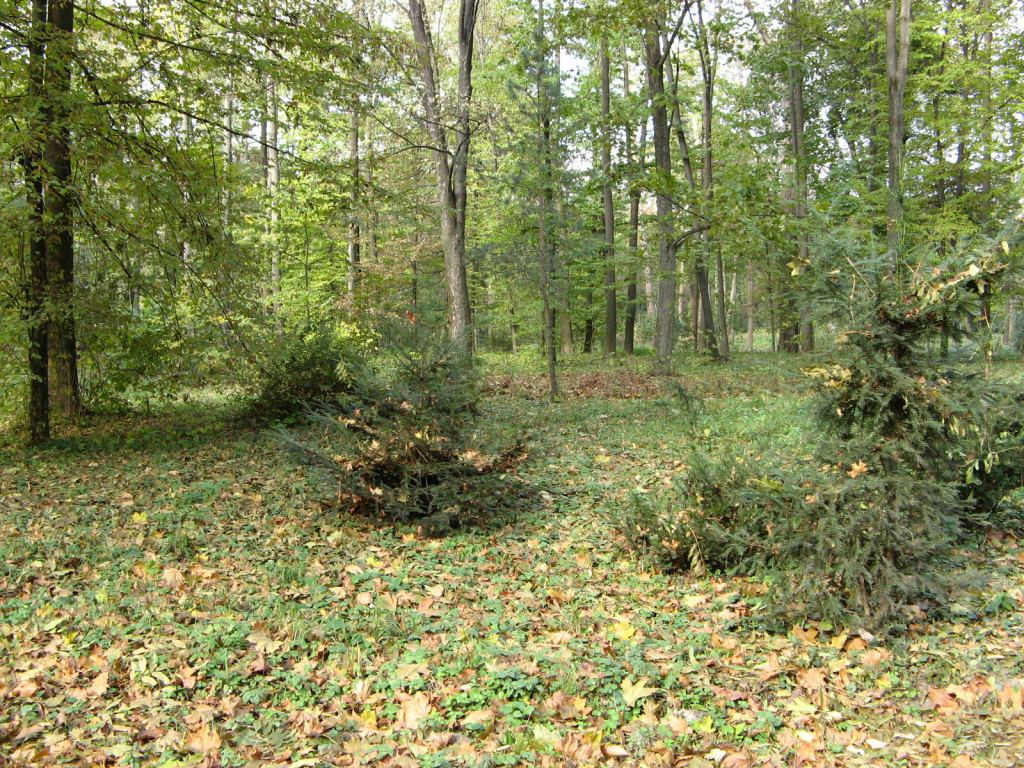 Фото 79 - Осенний парк "Александрия" (Белая Церковь)