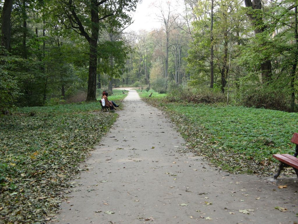 Фото 80 - Осенний парк "Александрия" (Белая Церковь)
