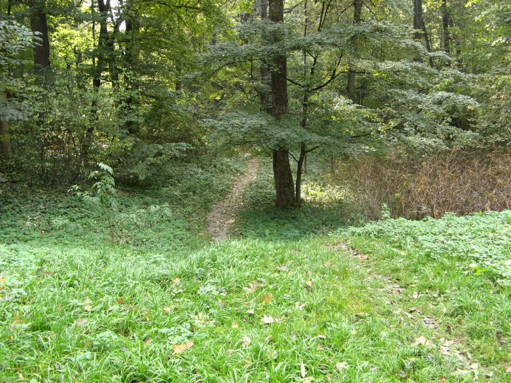 Фото 82 - Осенний парк "Александрия" (Белая Церковь)