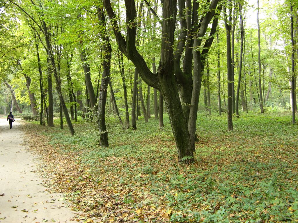 Фото 85 - Осенний парк "Александрия" (Белая Церковь)