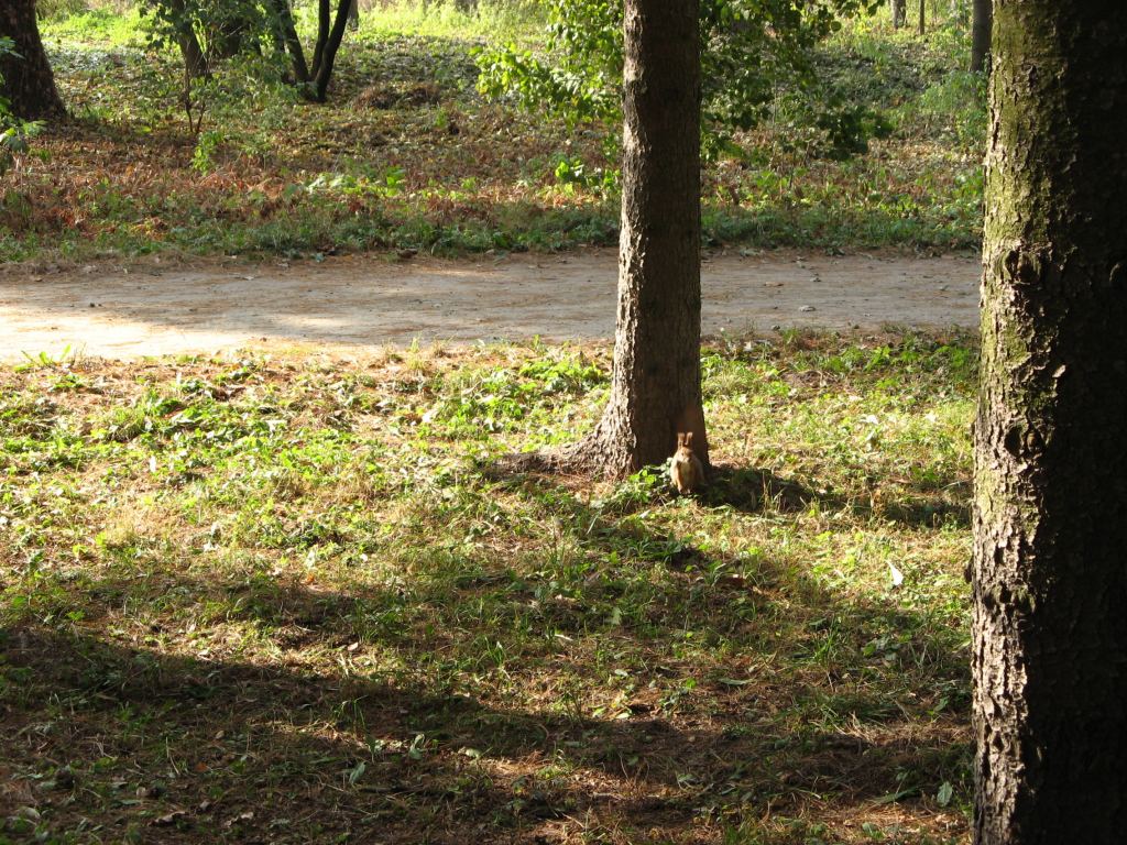 Фото 93 - Осенний парк "Александрия" (Белая Церковь)