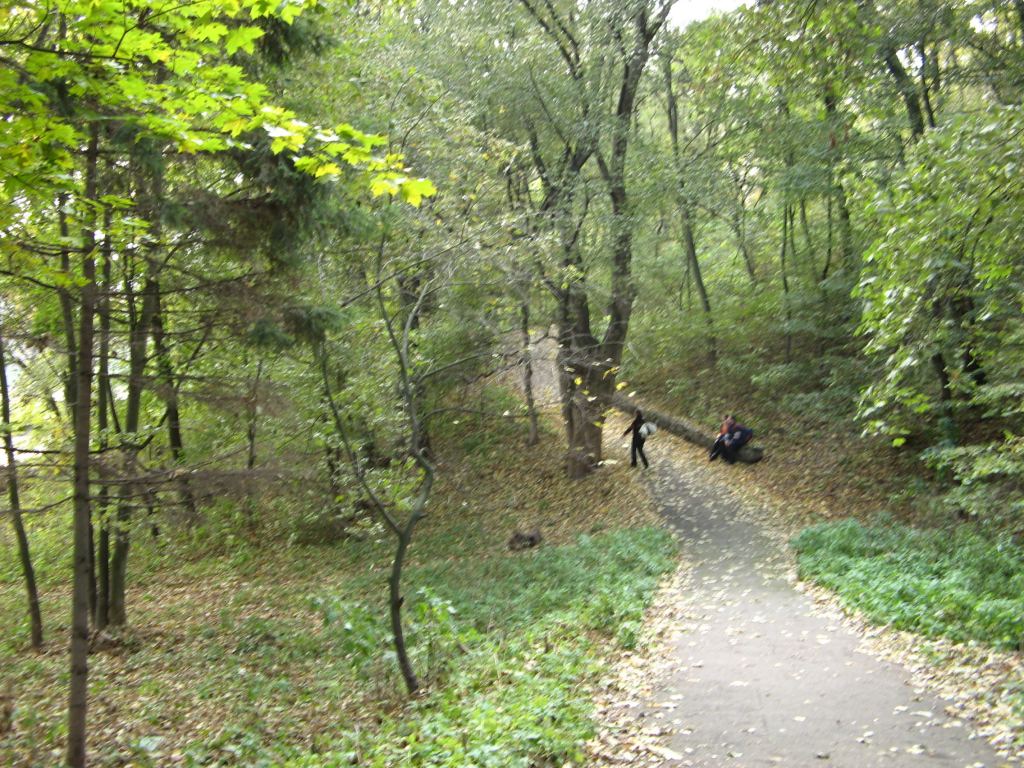 Фото 109 - Осенний парк "Александрия" (Белая Церковь)