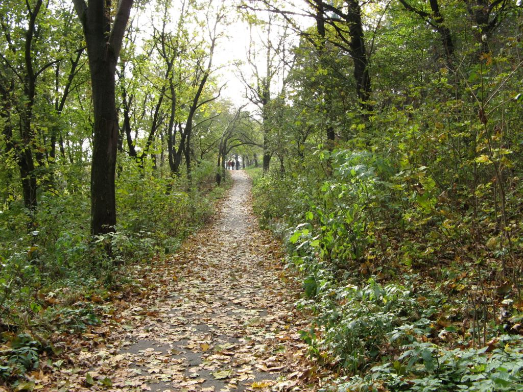 Фото 111 - Осенний парк "Александрия" (Белая Церковь)
