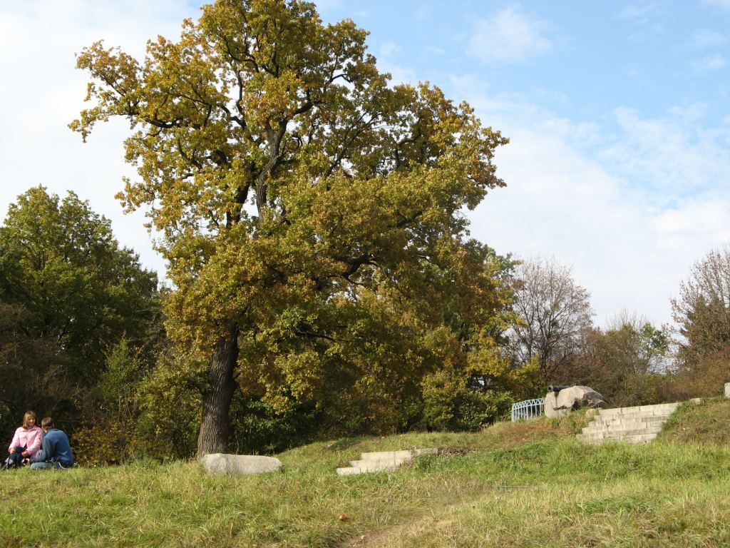 Фото 114 - Осенний парк "Александрия" (Белая Церковь)