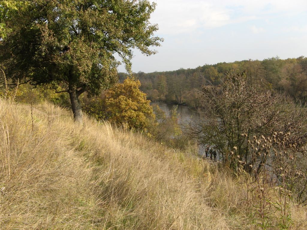 Фото 115 - Осенний парк "Александрия" (Белая Церковь)