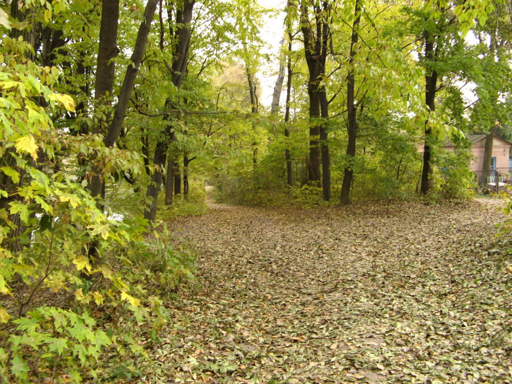 Фото 124 - Осенний парк "Александрия" (Белая Церковь)