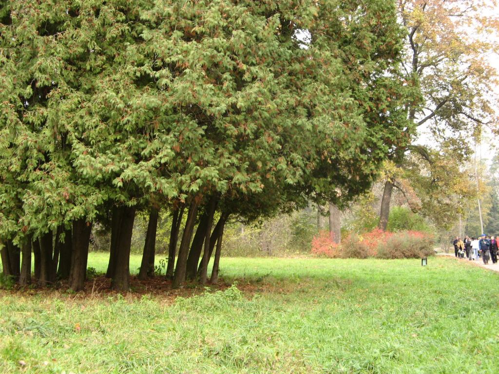 Фото 130 - Осенний парк "Александрия" (Белая Церковь)
